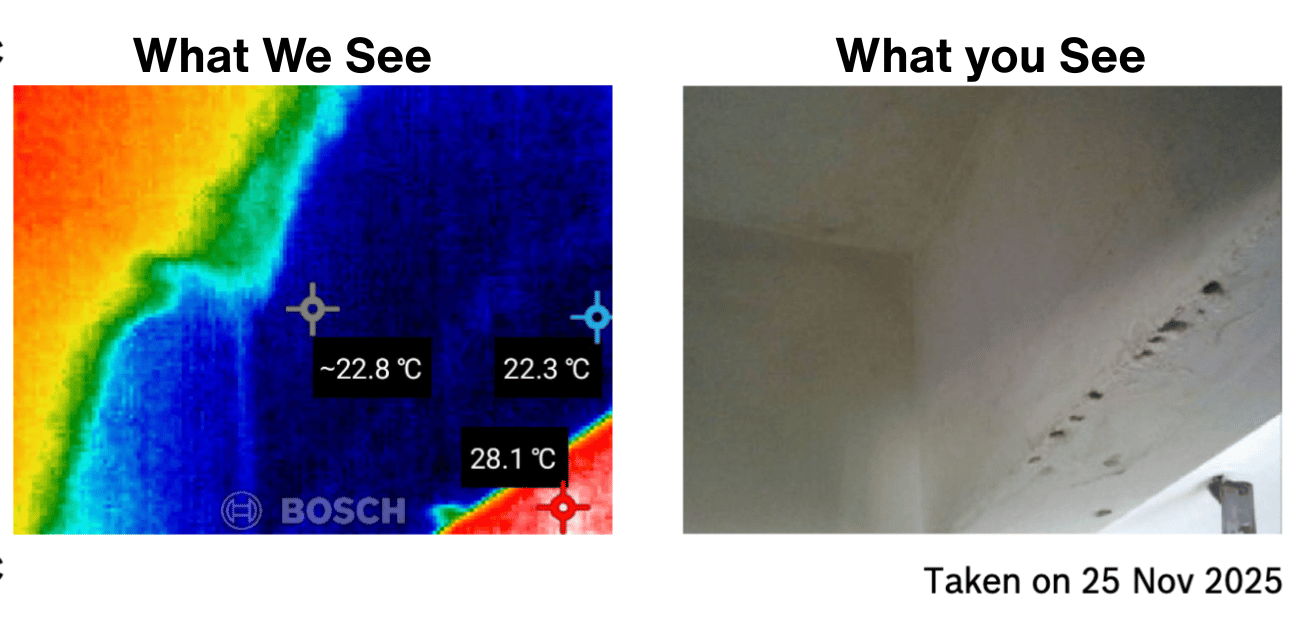 Ceiling corner with visible dark spotting